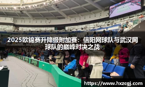 2025欧锦赛升降级附加赛：信阳网球队与武汉网球队的巅峰对决之战